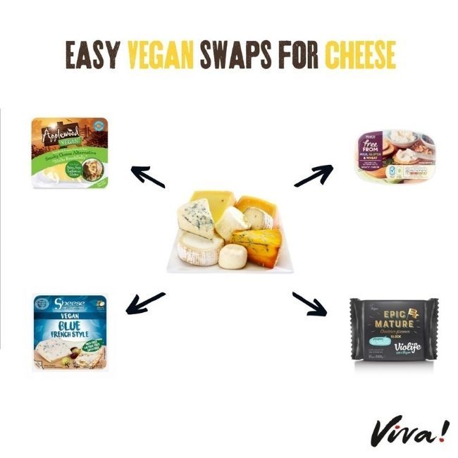 cheese surrounded by cheese alternatives