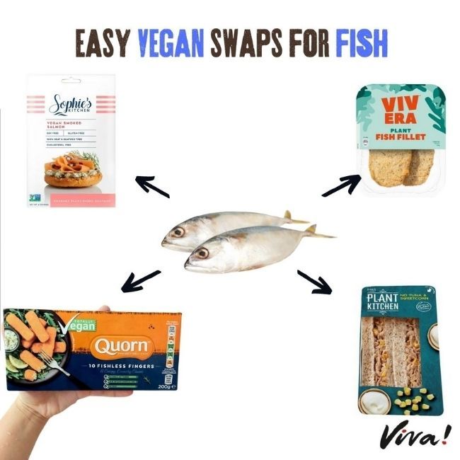 fish surrounded by fish alternative products