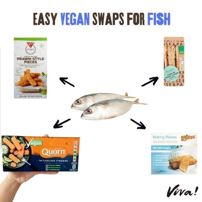 fish surrounded by fish alternatives