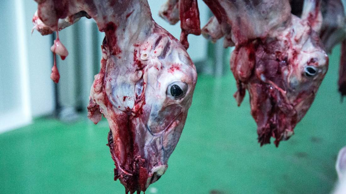 skinned and slaughtered lamb hanging upside down