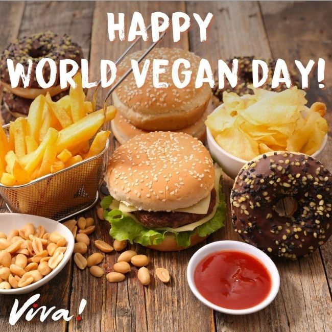 Veggie burgers and chips. Happy world vegan day.