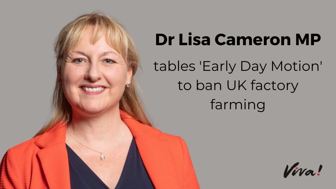 Dr Lisa Cameron MP ban uk factory farming