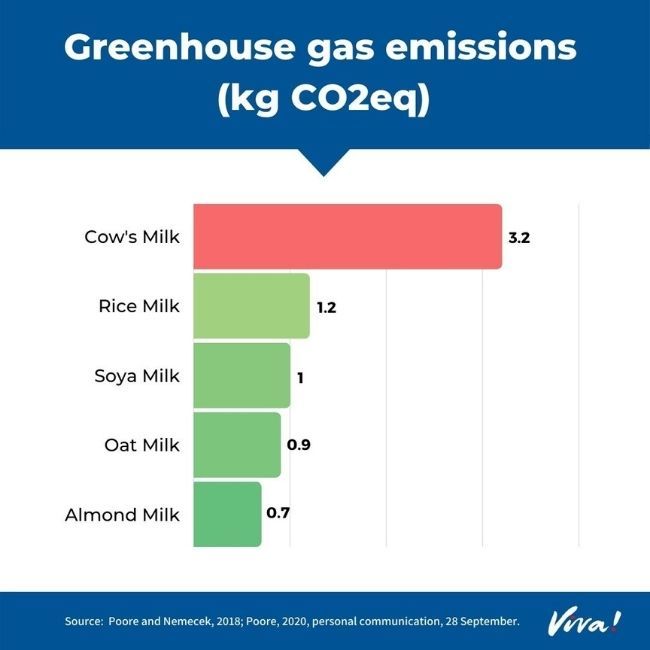Greenhouse gas emissions dairy and plant milk comparison