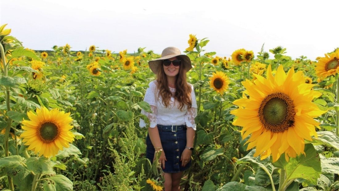 Reneta in a sunflower field