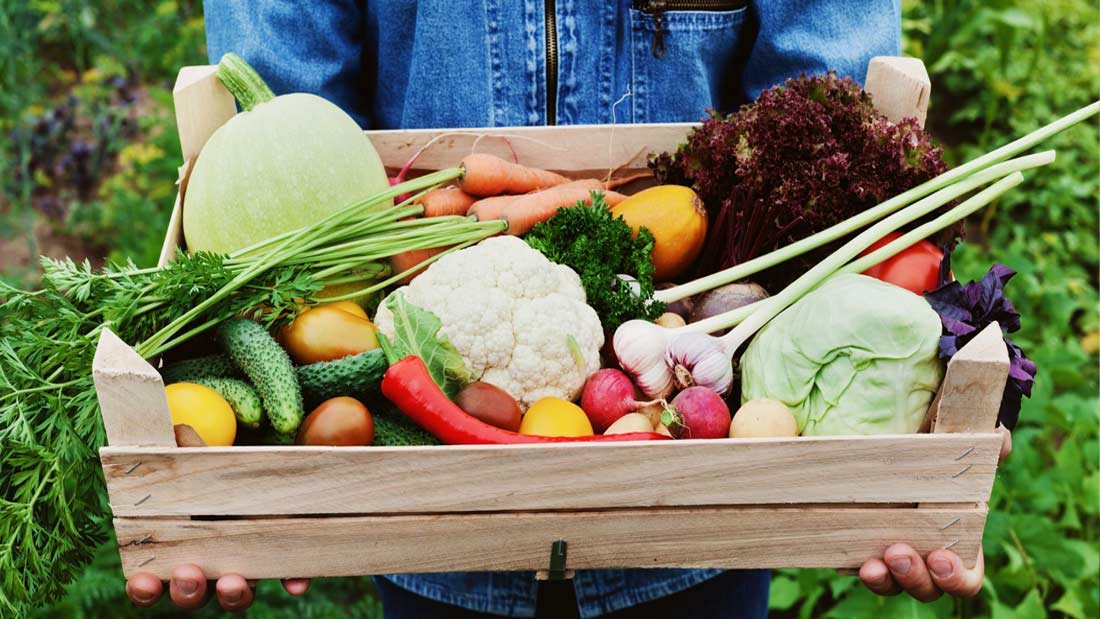 Organic foods: are they worth it? - Health articles | Viva! The Vegan  Charity