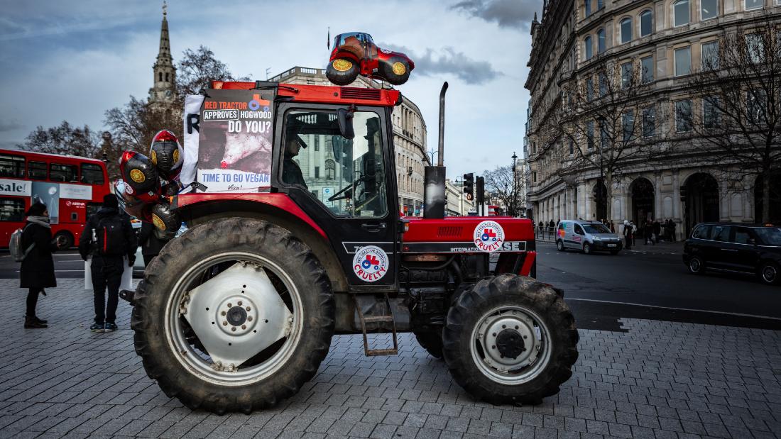 Red Tractor - Can it be Trusted? | Viva!