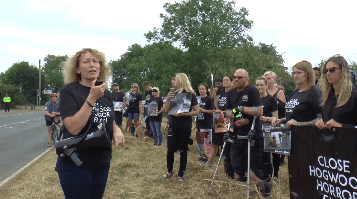 viva! protestors outside hogwood farm