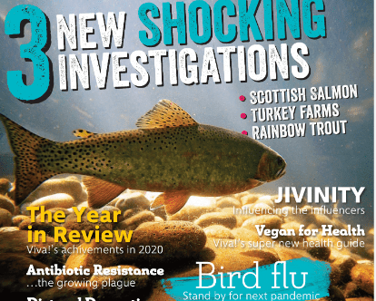 viva! life magazine 76 spring issue cover