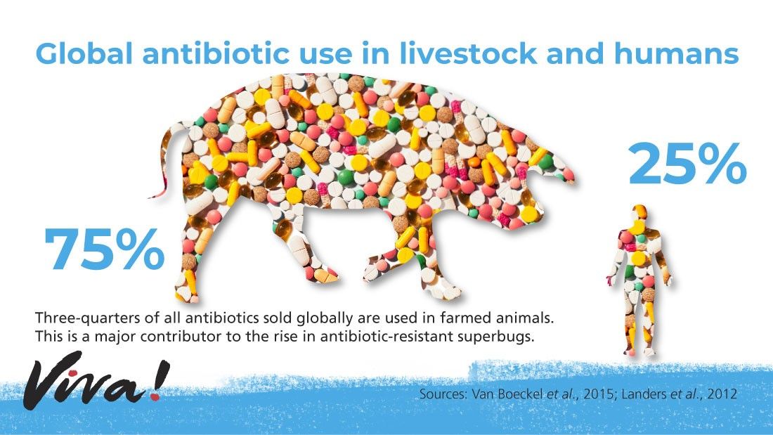 Global use of antibiotics in livestock and humans