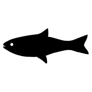 fish icon