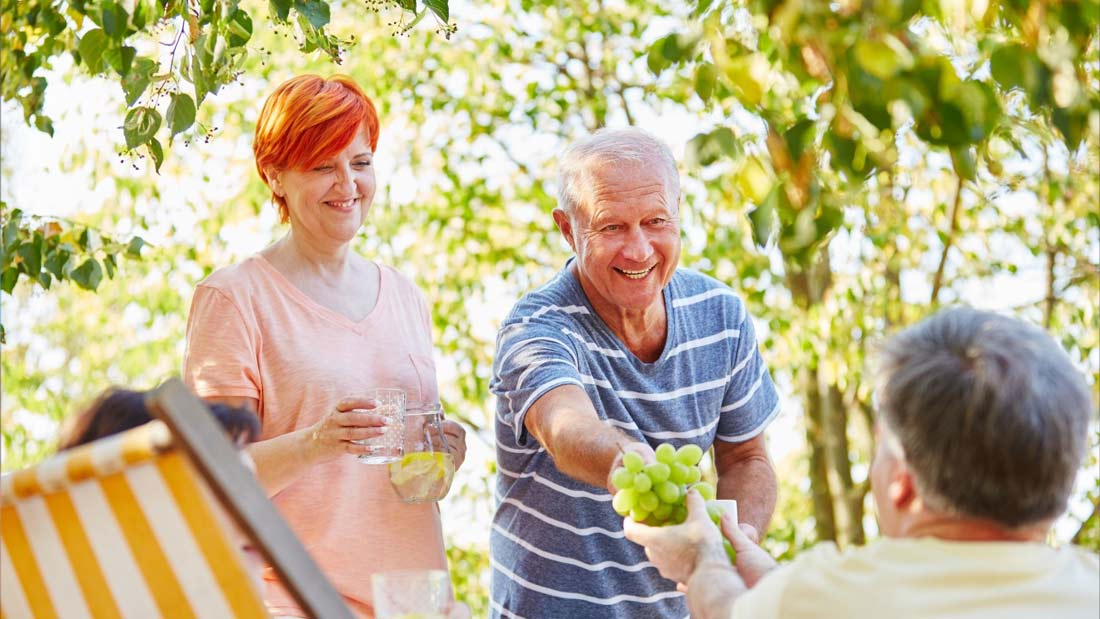 older people at a picnic