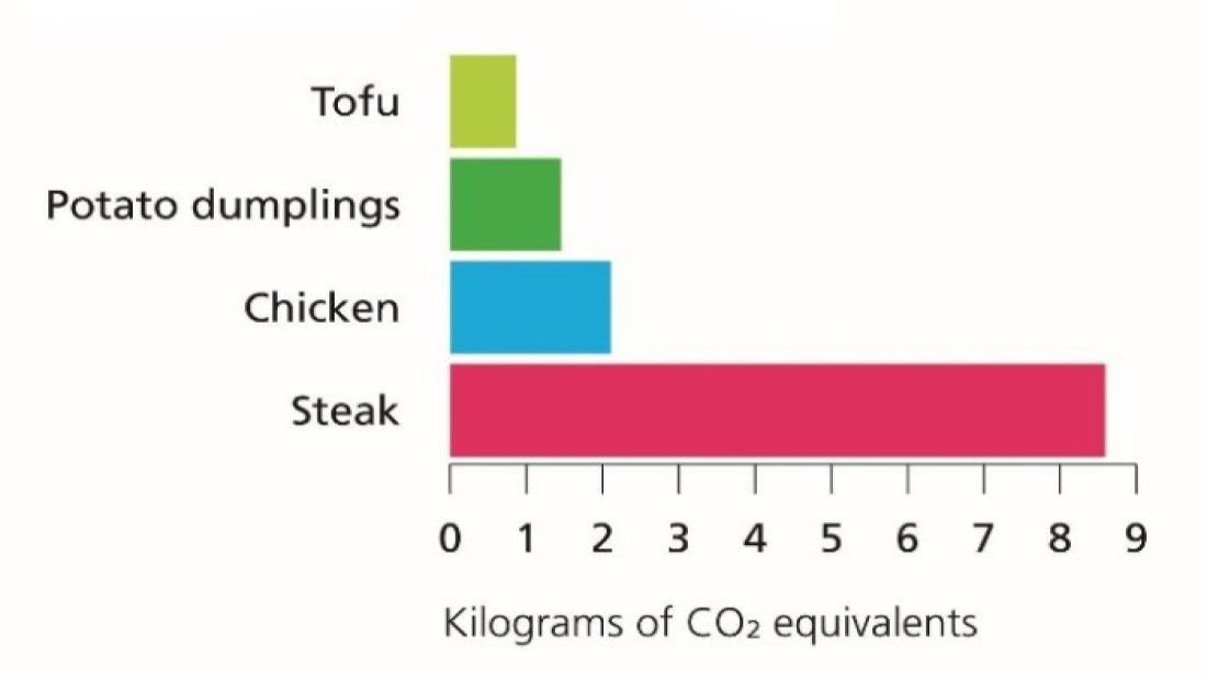 comparing the carbon footprint of meals