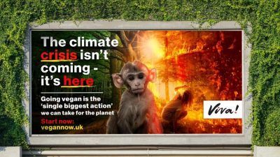 Viva! COP26 billboards