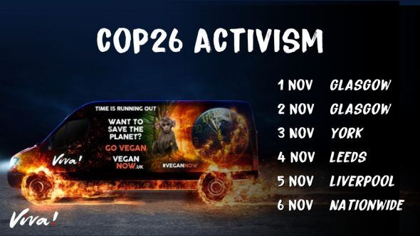 COP26 activism banner