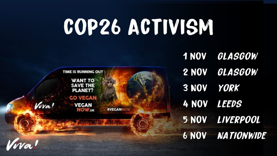 COP26 activism banner