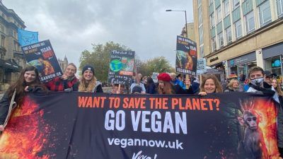 CIO26 march in Bristol. Demonstrators holding up 'Go vegan' signs to protect the planet on Park Street in Bristol.