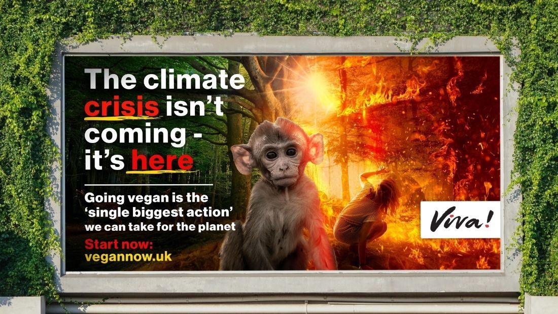 Vegan Now billboard COp26