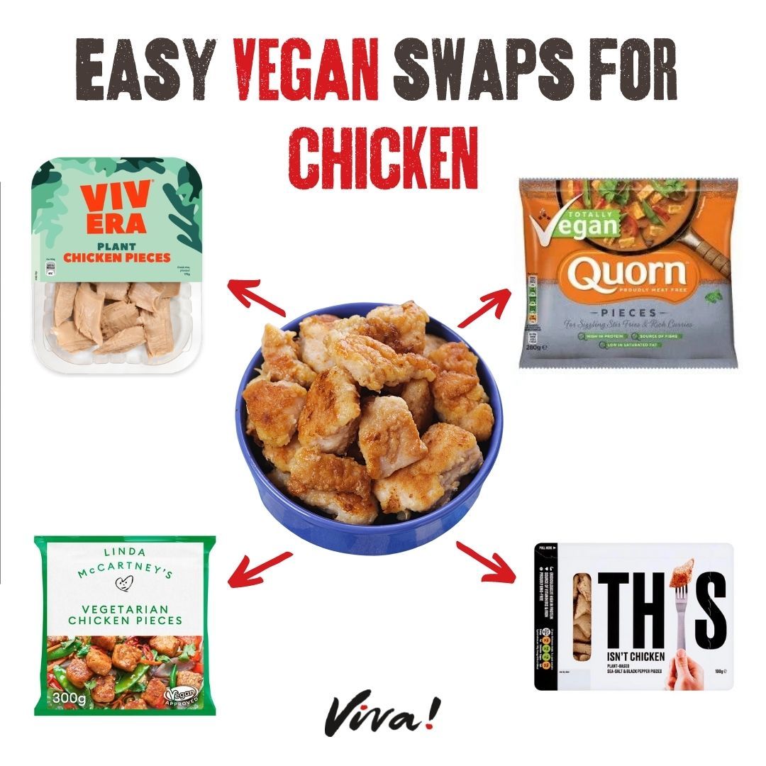 Easy Vegan | Viva! The Vegan Charity