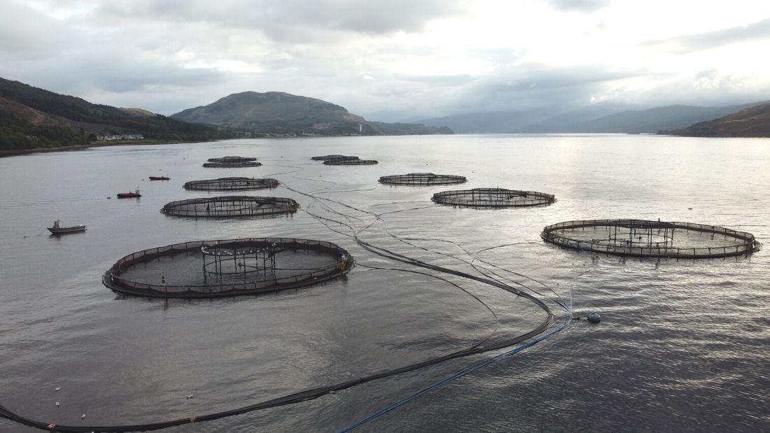 Scottish salmon farm