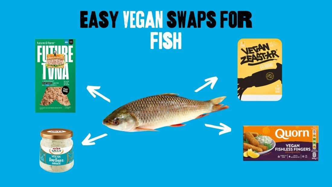 Main image Fish swaps