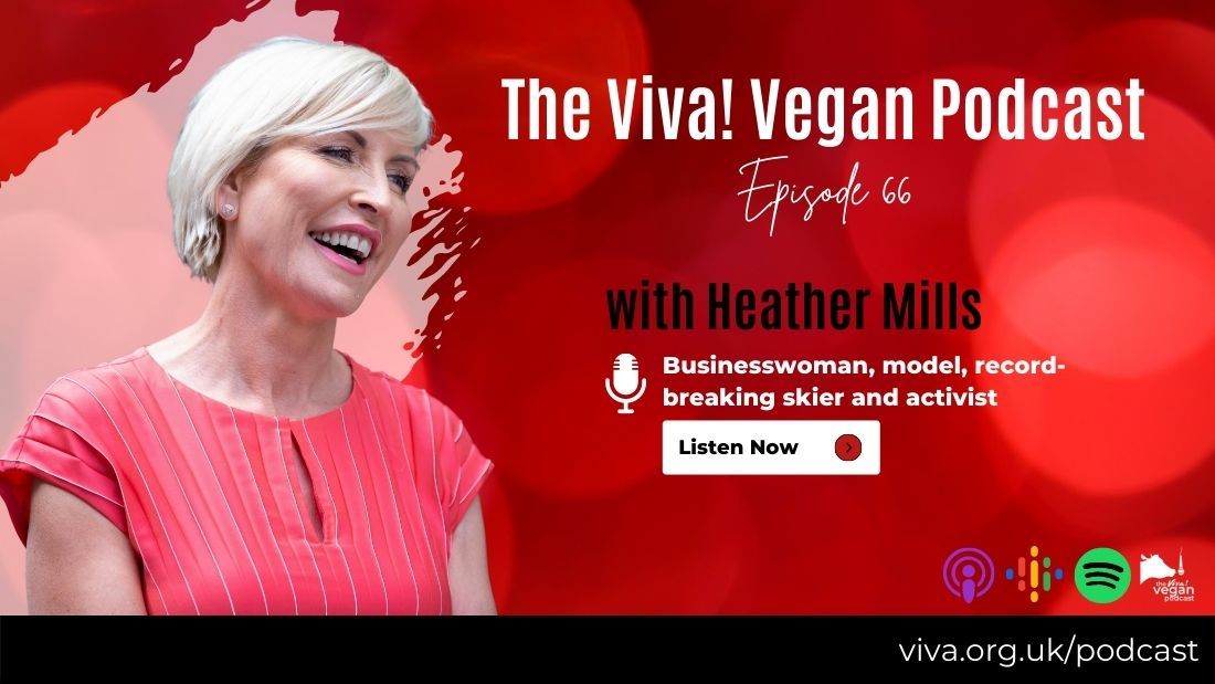 Heather Mills features on the Viva! Vegan Podcast