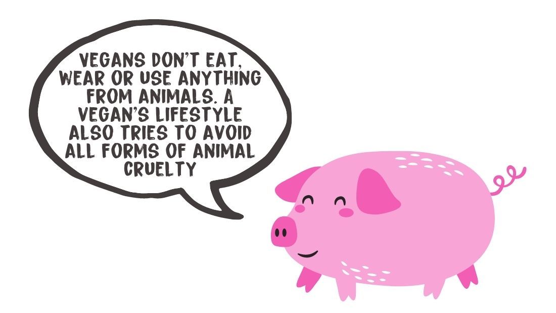 Vegans don’t eat, wear or use anything from animals. A vegan's lifestyle also tries to avoid all forms of animal cruelty