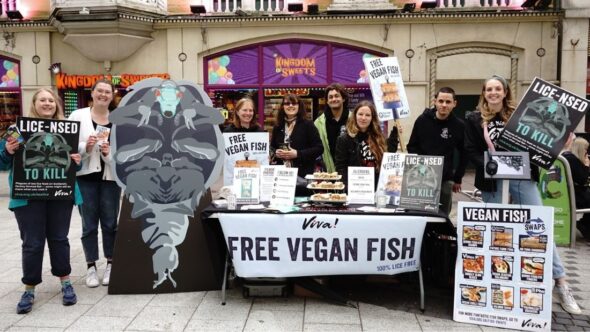 Viva! and Cardiff Animal Action