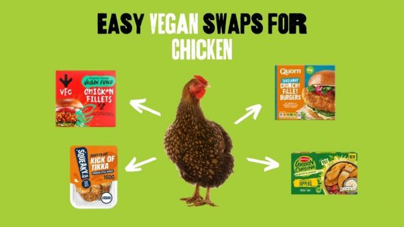 East vegan chicken swaps