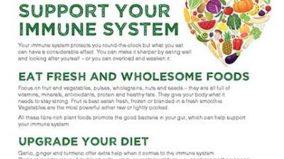 Mini factsheet: Immune system
