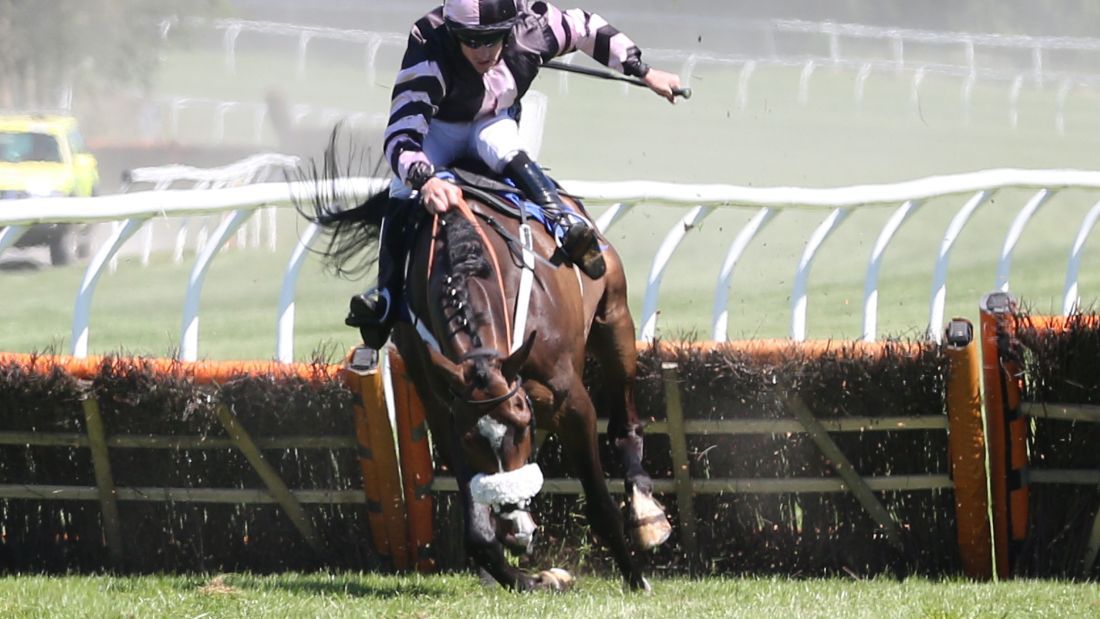 Falling Racehorse