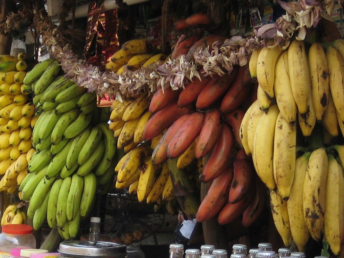 Varieties of bananas