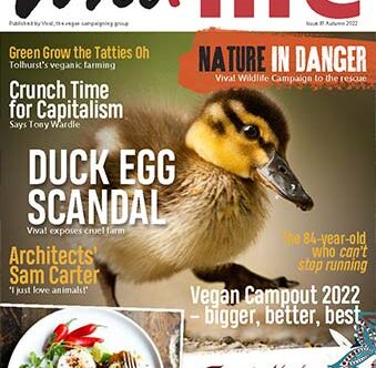 Viva!Life cover 81