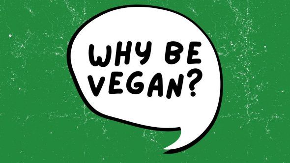 why be vegan