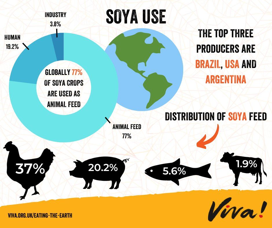 Soya use infographic
