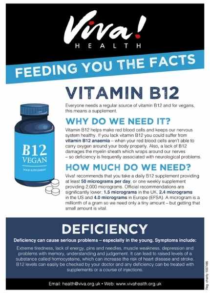 B12 Feeding You the Facts