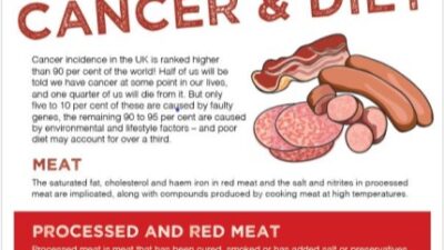 Mini factsheet: Cancer and diet