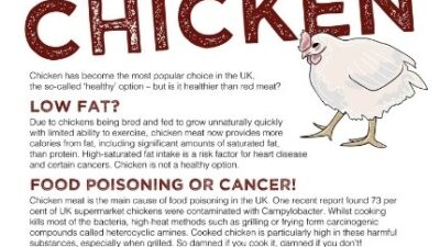 Mini factsheet: Chicken and red meat