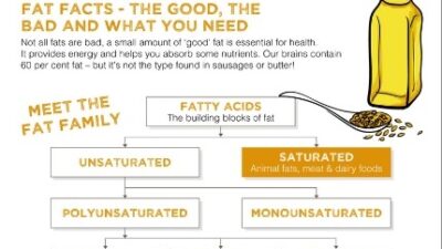 Mini factsheet: Fat facts