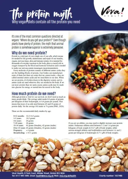 Protein factsheet