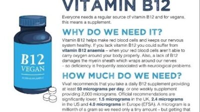 Mini factsheet: Vitamin B12