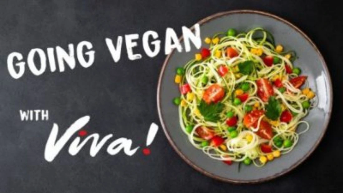 Going vegan with viva!
