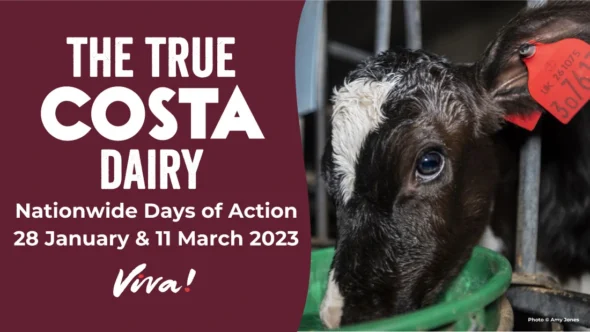The True Costa Dairy: Nationwide Day of Action 28 January 2023