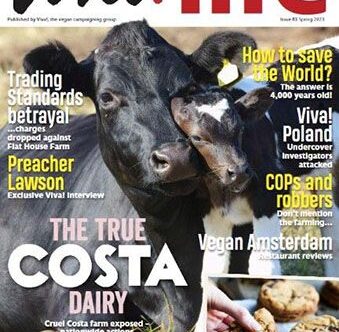 Viva!life issue 83