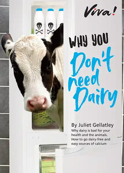 Why You Don't Need Dairy Guide