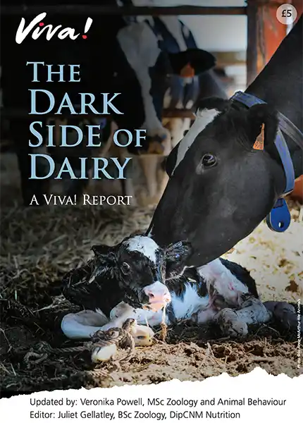 The dark side of dairy