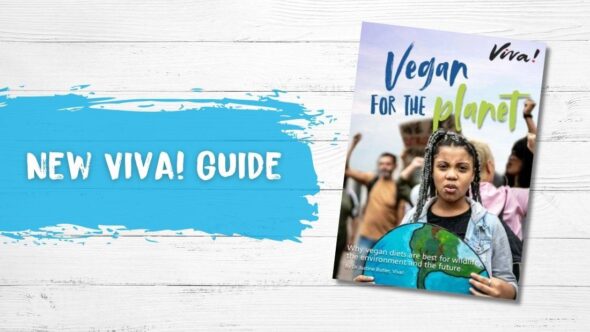 Vegan for the Planet Guide