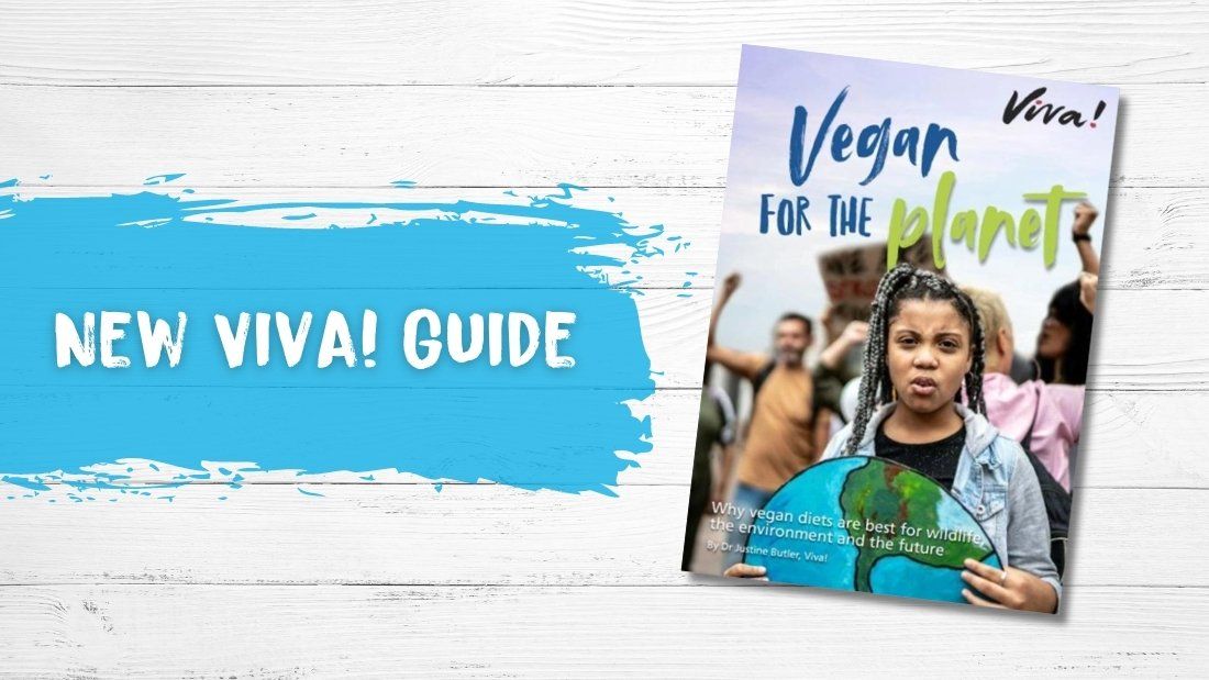 Our New Vegan for the Planet Guide is Out Now! - Viva!