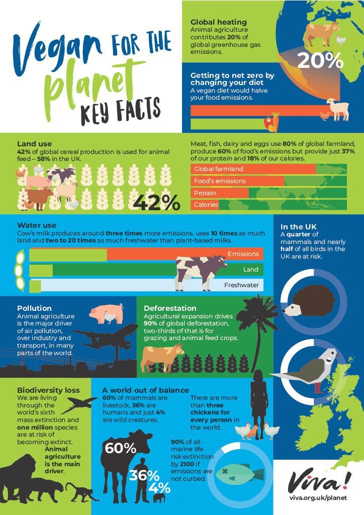 How does going vegan help save the planet? Here are the facts