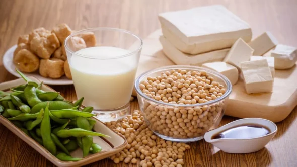 variety of soya foods