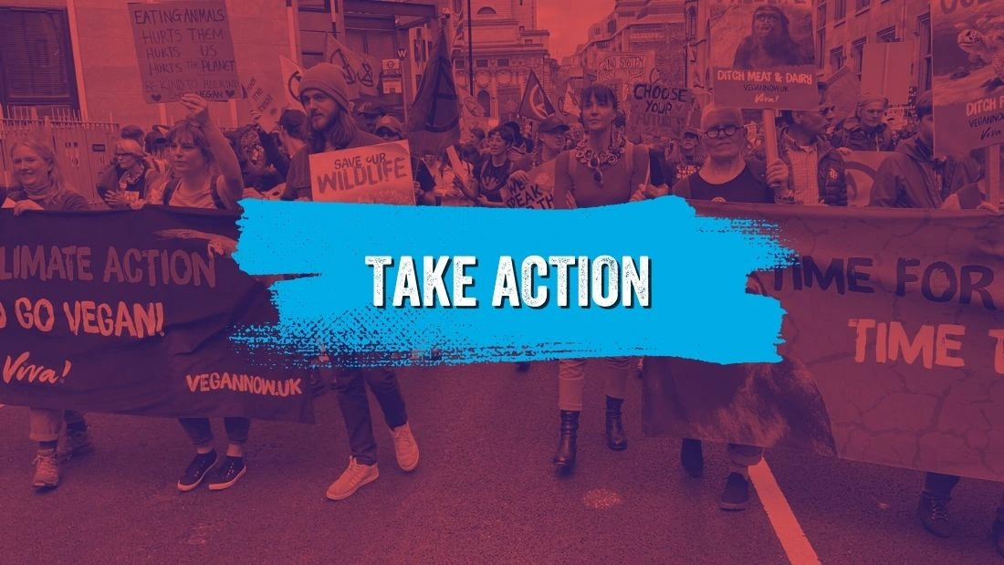 Take action protest